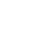 White pig icon
