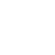 White turkey icon