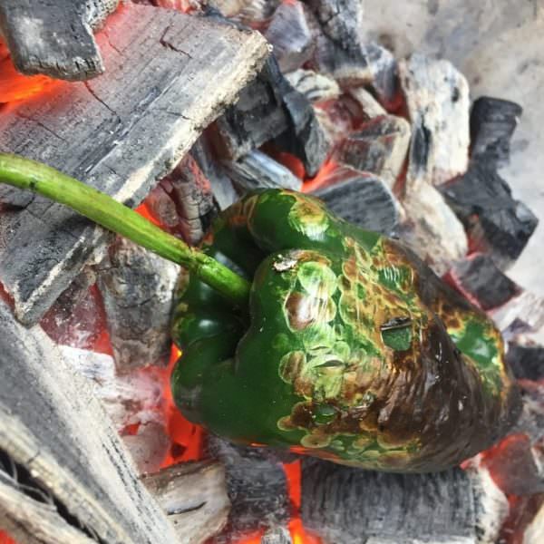 Char poblano pepper directly on charcoal