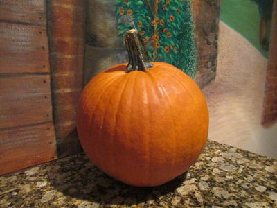Start with nicely shaped pumpkin