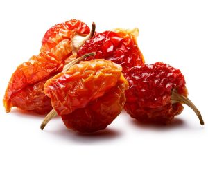 Dried Habanero chile