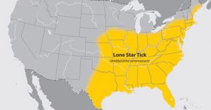 US map of where Lone Star tick can be found