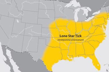 US map of where Lone Star tick can be found