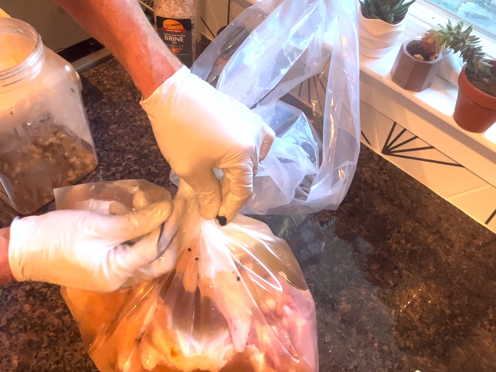Add turkey pieces and brine to brine bag