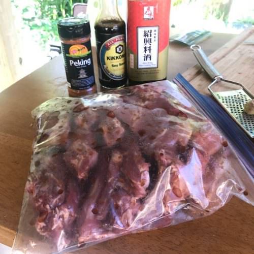 Place ribs in plastic bag with marinade