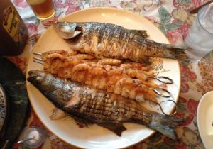 Raging River Rock Fish with Tsunami Spin Shrimp