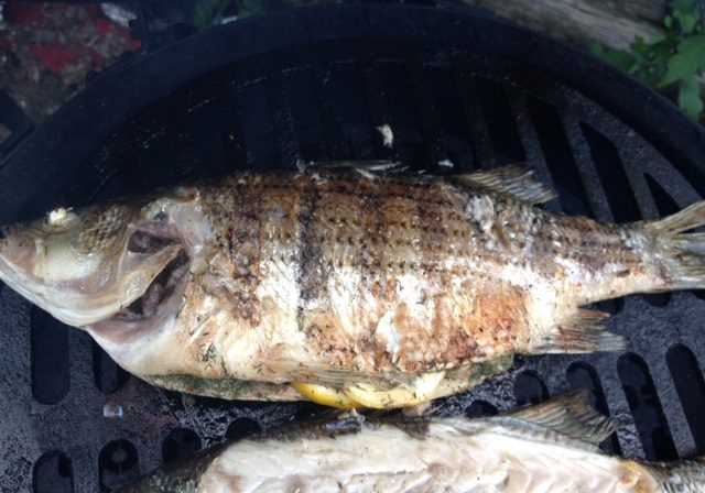 Perfectly grilled rockfish