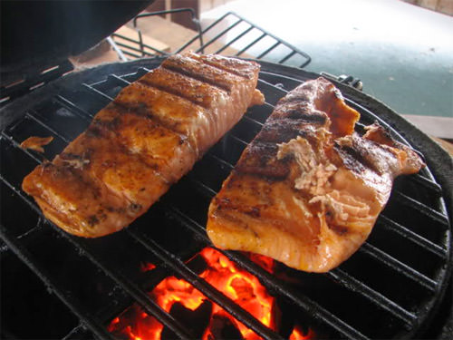 Grill salmon over direct heat