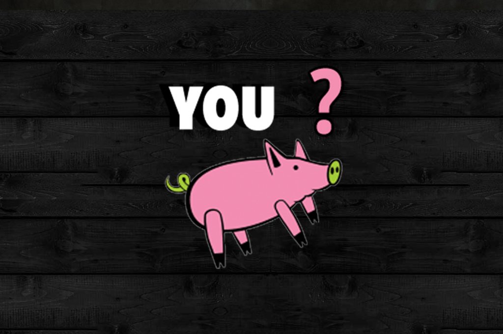 You ? Pig