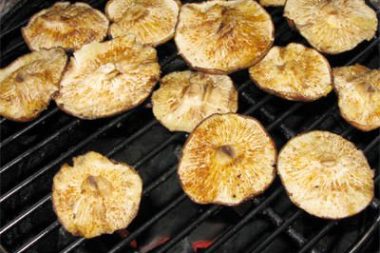 Grilled Tsunami Spin Mushrooms