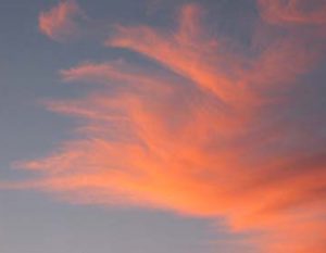 Smokin' on the Chesapeake competition